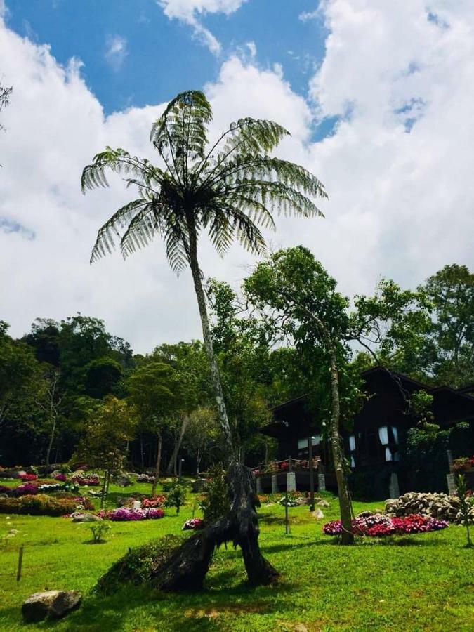 Spring Garden Hotel Kundasang Bagian luar foto